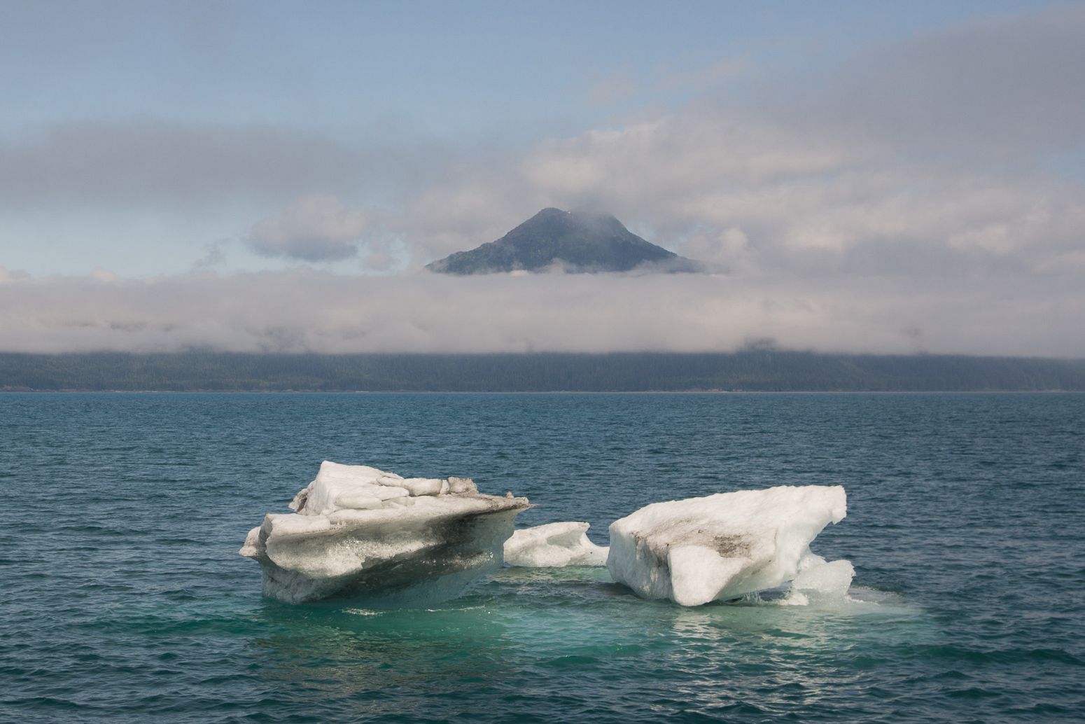 Icebergs floating in Prince William Sound, Alaska, USA