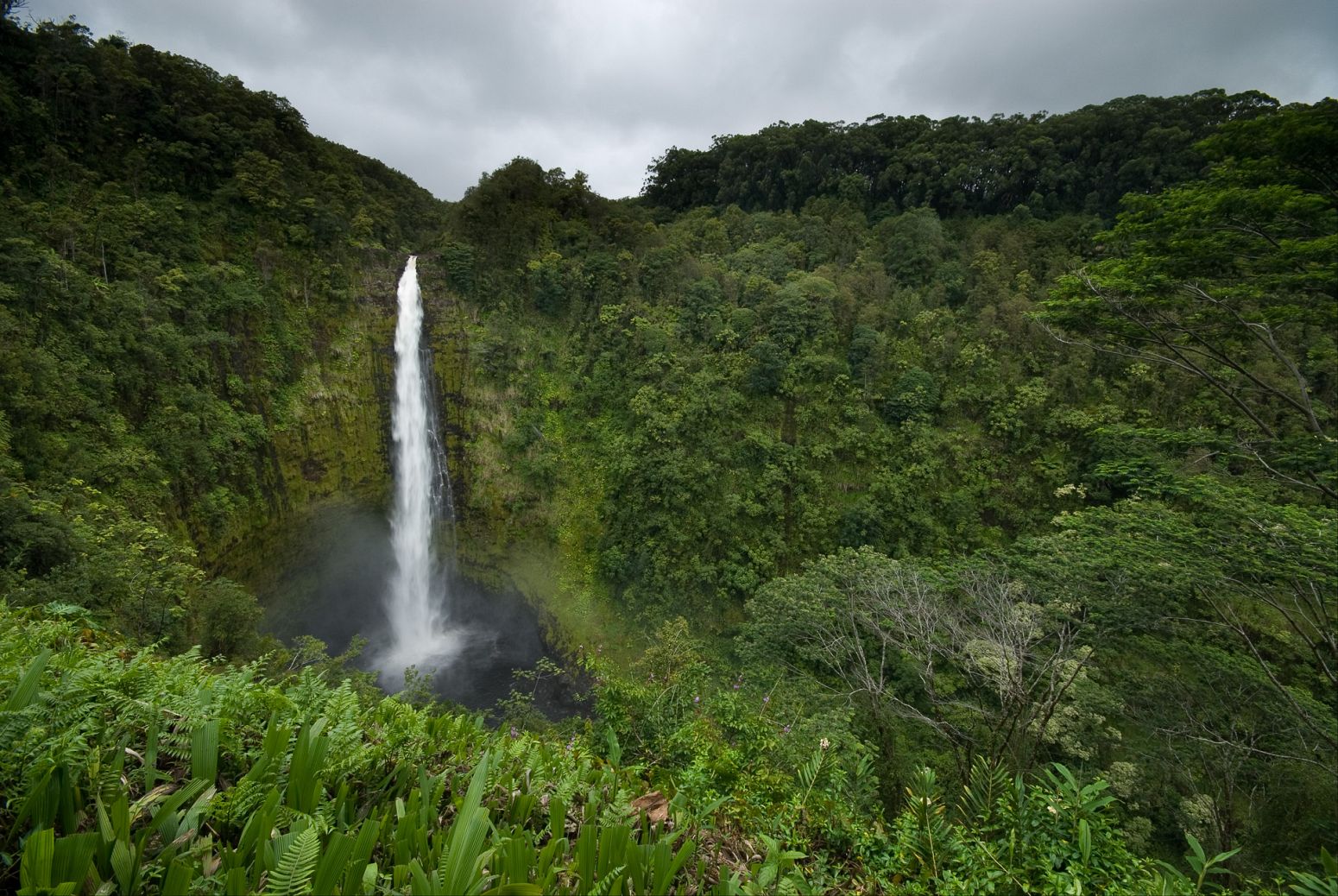 Akaka Falls, Big Island, Hawaii, USA