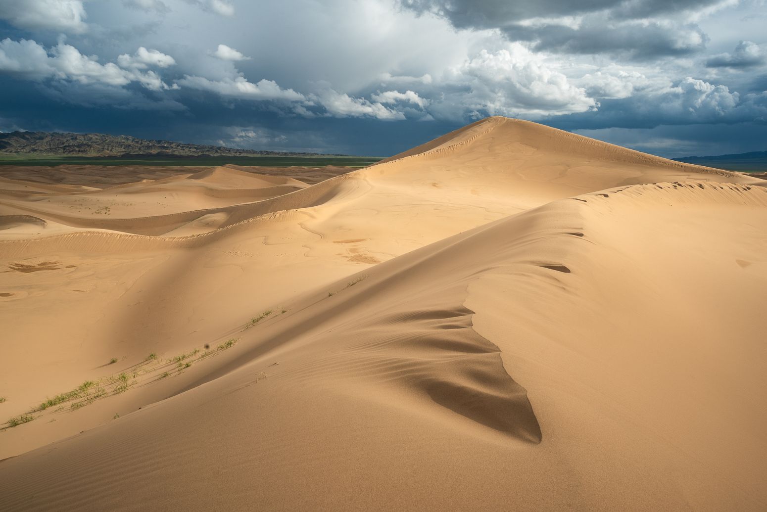 Khongoriin Els sand dunes, Gobi desert, Mongolia